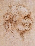 LEONARDO da Vinci Aurelio Luini attributed, profile of an old man china oil painting reproduction